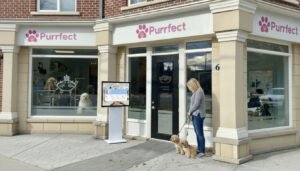 How to Market a Pet Grooming Business: 14 Ideas to Attract More Clients